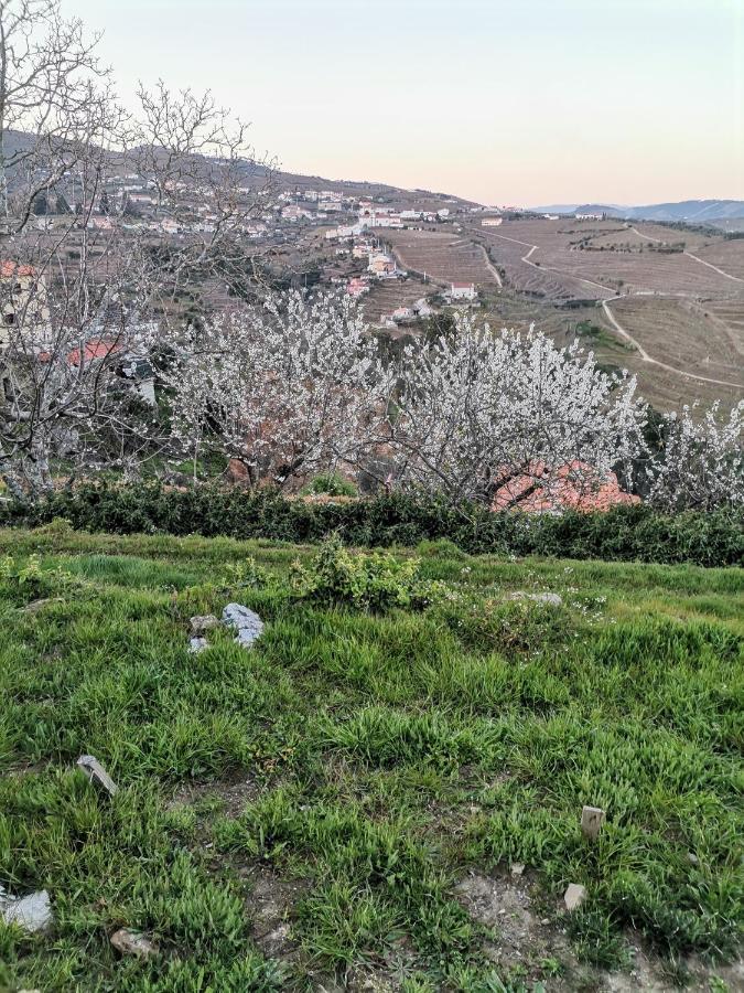 Quinta De Travassinhos- Douro Valley & Spa Santa Marta de Penaguião Buitenkant foto