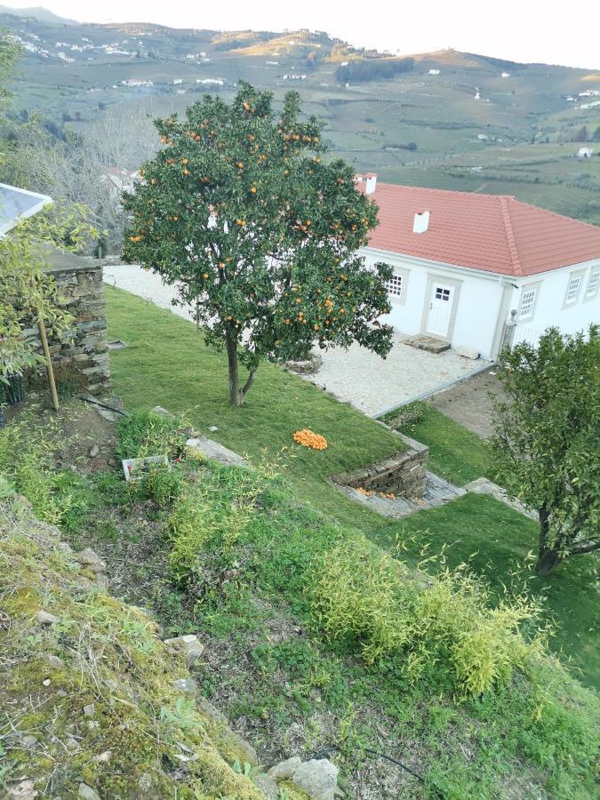 Quinta De Travassinhos- Douro Valley & Spa Santa Marta de Penaguião Buitenkant foto