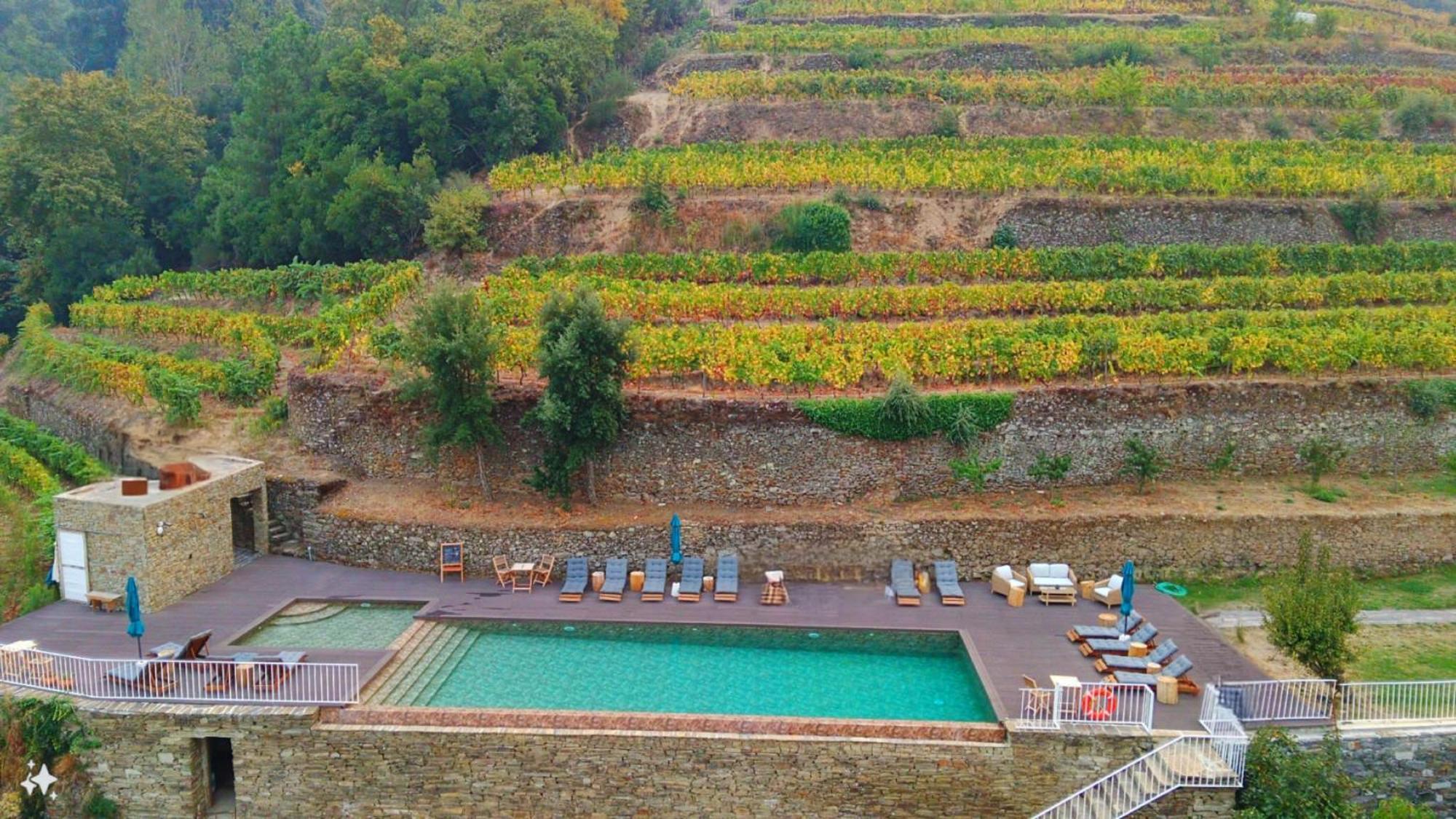 Quinta De Travassinhos- Douro Valley & Spa Santa Marta de Penaguião Buitenkant foto