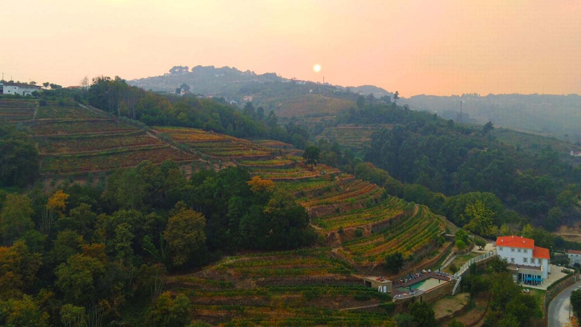 Quinta De Travassinhos- Douro Valley & Spa Santa Marta de Penaguião Buitenkant foto